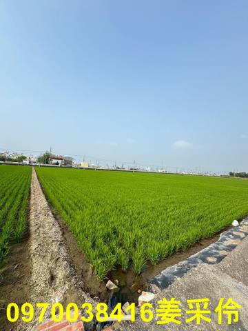 嘉義農地-6