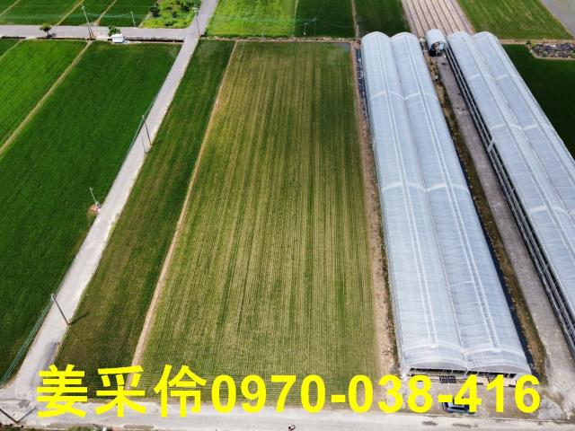 嘉義農地-4