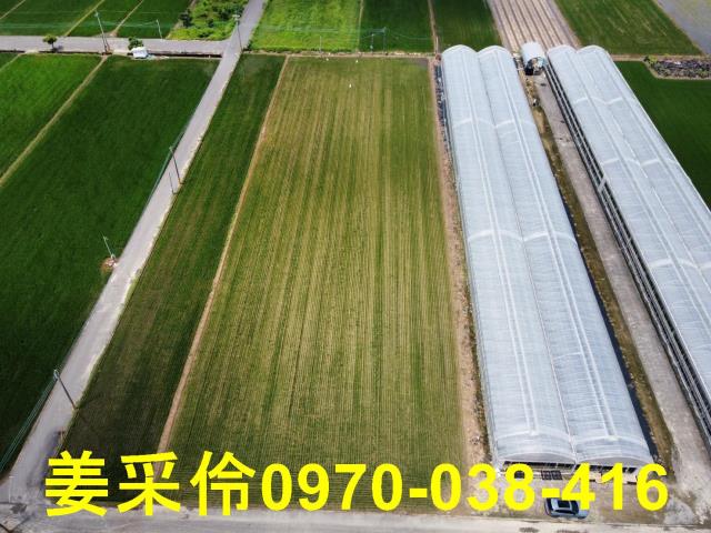 嘉義農地-5