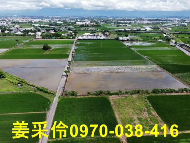 嘉義農地-6