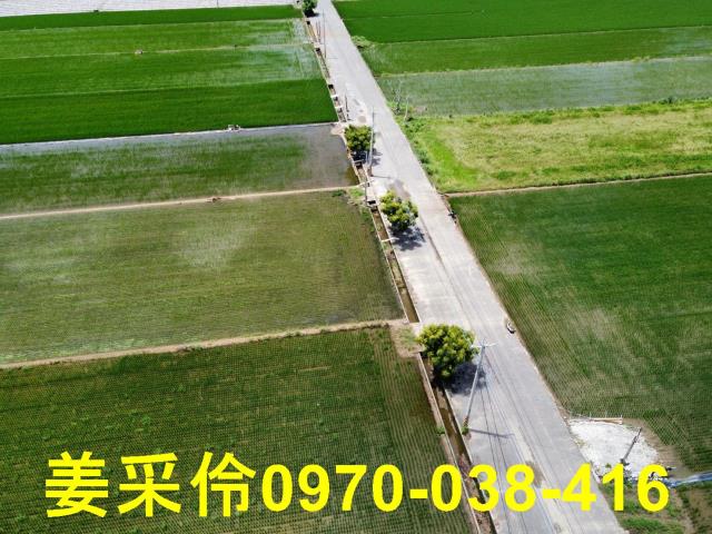 嘉義農地-7