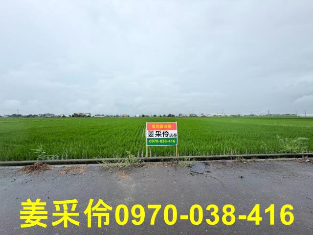 嘉義農地-1