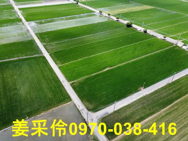 嘉義農地-2
