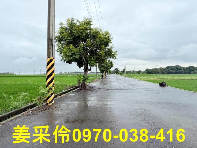嘉義農地-4