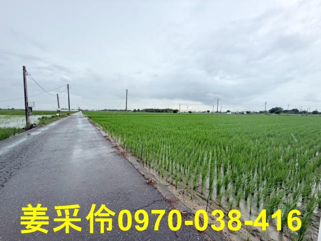 嘉義農地-7